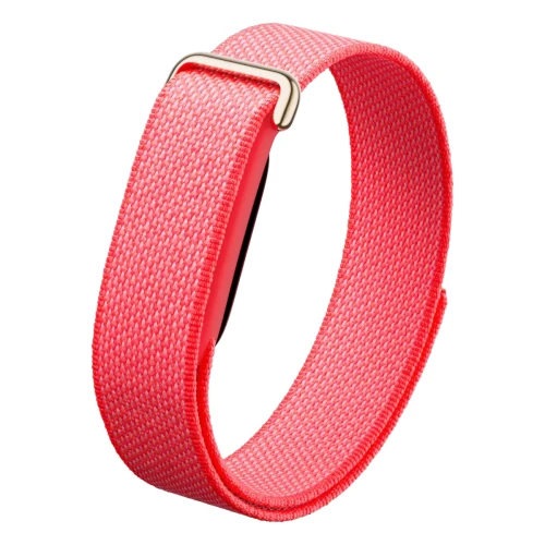 Google Fitbit Air Berry