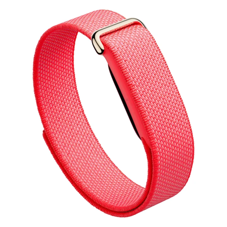 Google Fitbit Air Berry