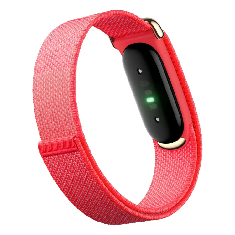 Google Fitbit Air Berry