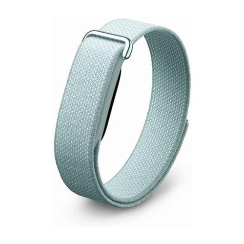 Google Fitbit Air Fog