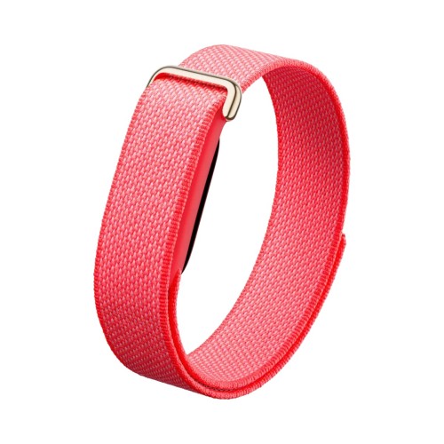 Google Fitbit Air Berry