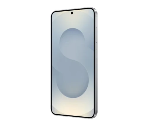 Samsung Galaxy S25 Srebrny