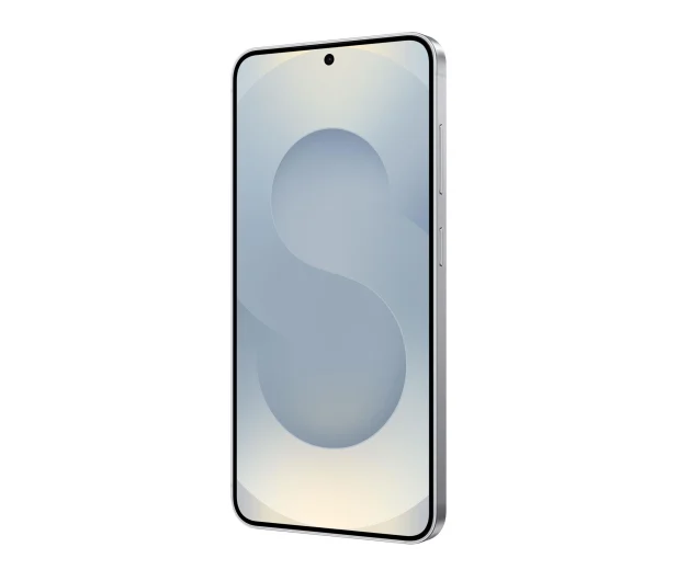 Samsung Galaxy S25 Srebrny