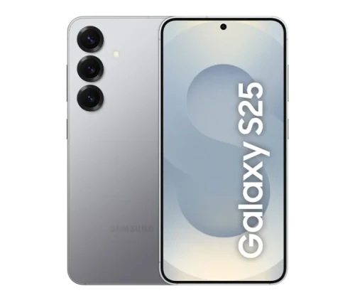 Samsung Galaxy S25 Srebrny
